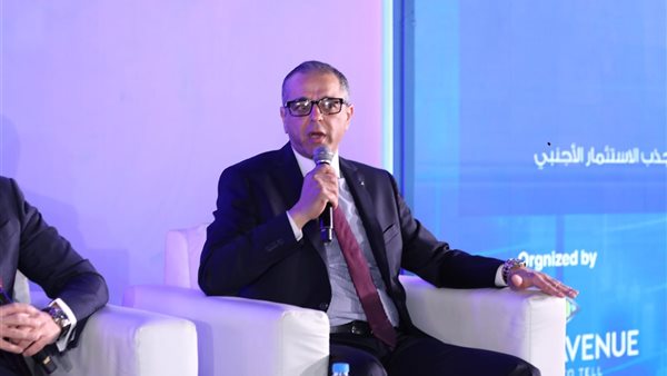 محمد أبو الغيط نائب رئيس الهيئة العامة للمنطقة الاقتصادية