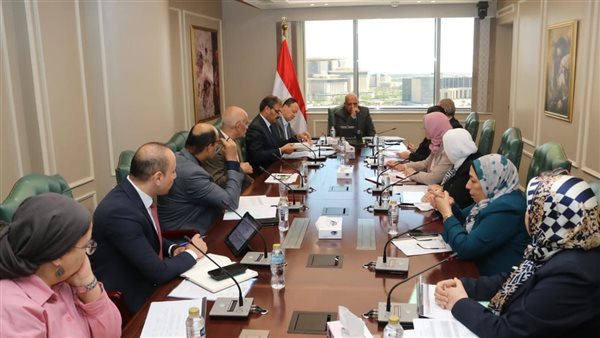 الدكتور محمود عصمت، وزير الكهرباء 
