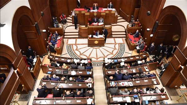من هو المستشار عصام الدين فريد المرشح لتولي رئاسة مجلس الشيو