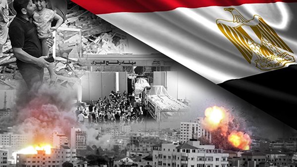 الجهود المصرية في القضية الفلسطينية