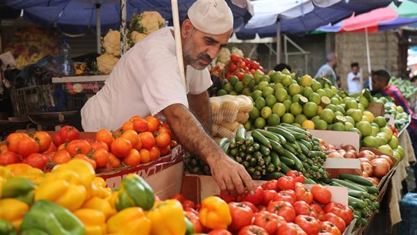 أسعار الخضروات اليوم الثلاثاء 19 أغسطس 2025