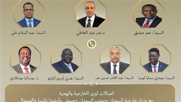 وزير الخارجية يُجري اتصالات مع عدد من نظرائه في الدول الأفري