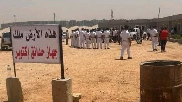 أرض الزمالك 