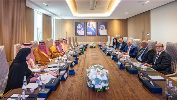 الفريق كامل الوزير، نائب رئيس الوزراء