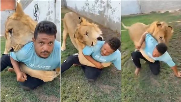 القبض على الليبي 