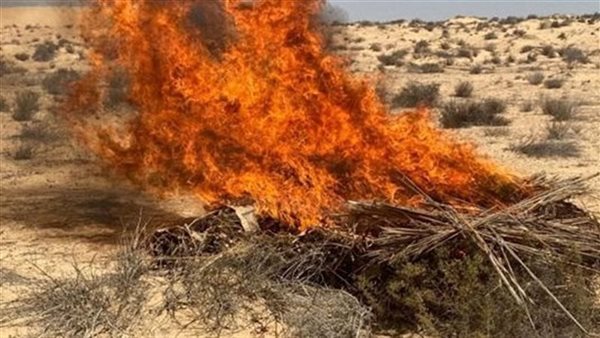 لقبض على عصابة شديدة الخطوره لزراعة المواد المخدره