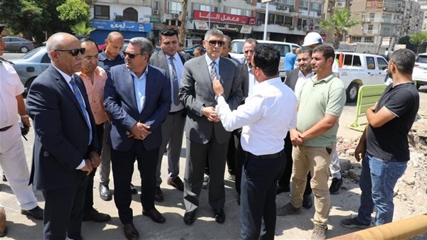المهندس عادل النجار، محافظ الجيزة