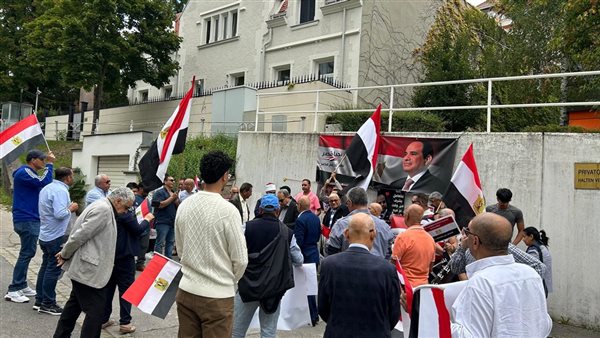 انتفاضة للمصريين بالخارج ضد مخططات تنظيم الإخوان