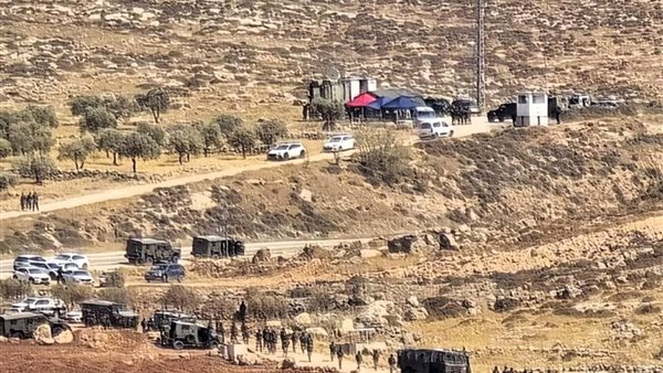 إسرائيل تقتلع آلاف أشجار الزيتون في الضفة الغربية
