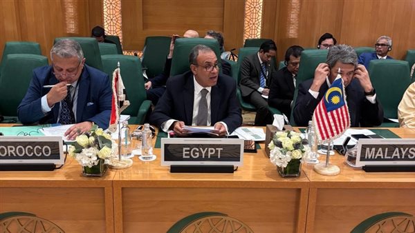 وزير الخارجية يشارك في الدورة الاستثنائية لبحث العدوان الإسر