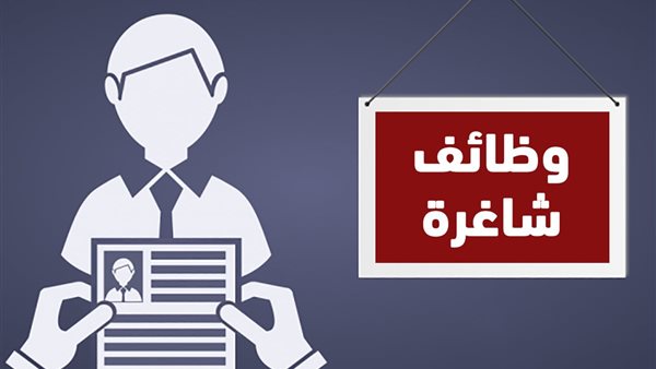 وظائف وزارة الكهرباء 2025