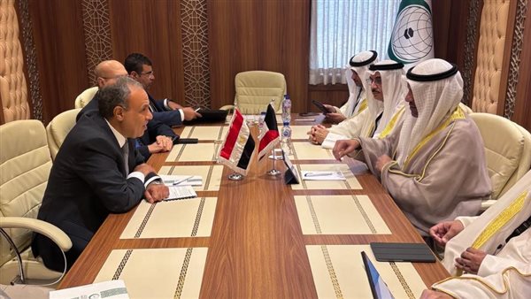 الدكتور بدر عبد العاطي، وزير الخارجية