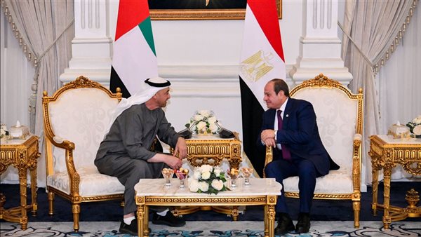الرئيس عبد الفتاح السيسي، رئيس الجمهورية