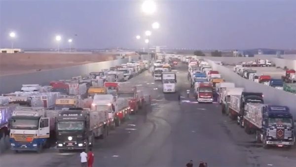 المساعدات الإنسانية المصرية 