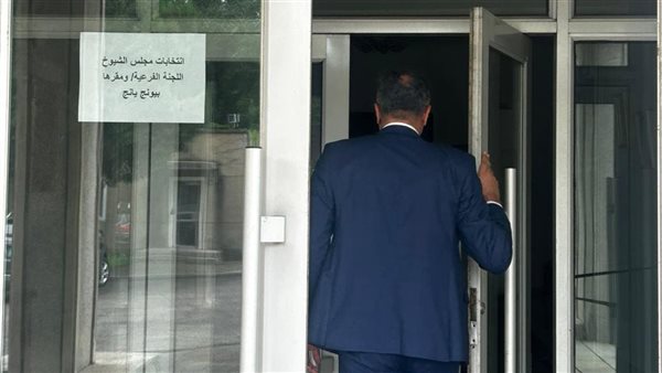 انتخابات الإعادة لمجلس الشيوخ 