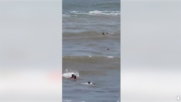 أبرز حوادث الغرق في مصر