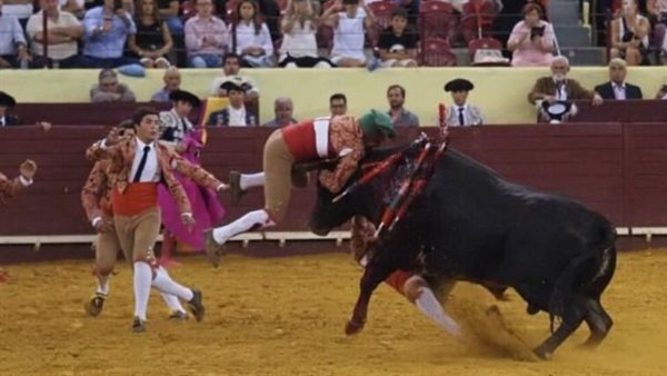 شاهد لحظة وفاة مصارع ثيران نطحه الثور خلال أول عرض له