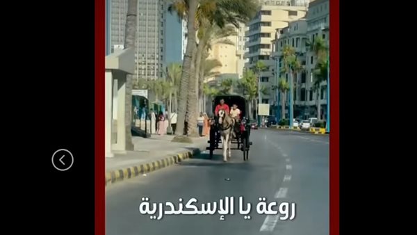روعة يا الإسكندرية