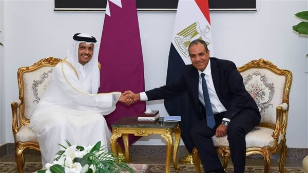 عبد العاطي يؤكد على الأهمية البالغة لتعزيز التكامل الاقتصادي