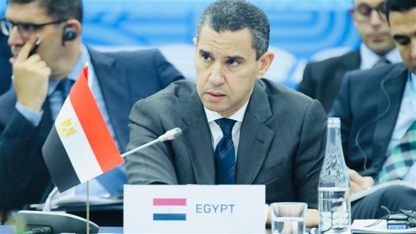 مصر تستضيف الاجتماع الرسمي لمجموعة العشرين بالقاهرة في سبتمب