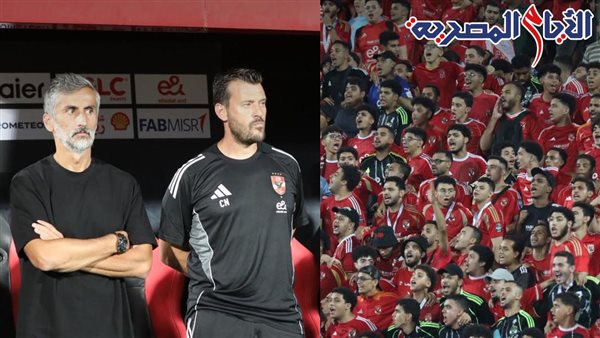 ريبيرو 