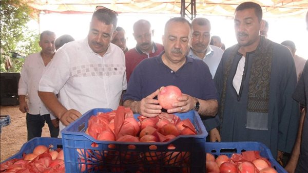 محافظ أسيوط يتفقد مواقع تصدير الرمان "الذهب الأحمر" 