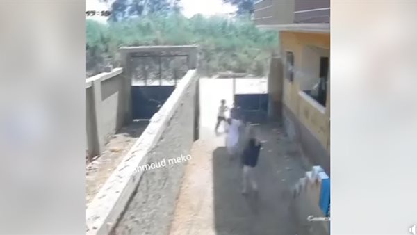 بلطجية في الغربية