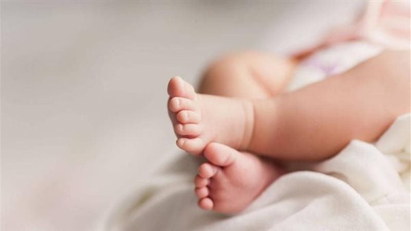 عدد المواليد في مصر 2025