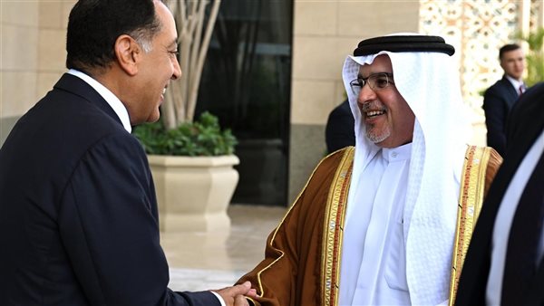مدبولى: حجم التبادل التجاري بين البلدين خلال عامين بلغ 400 م