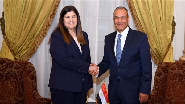 مصر تسعى دائمًا لبحث سُبل إعادة إعمارغزة والتعافي المبكر مع 