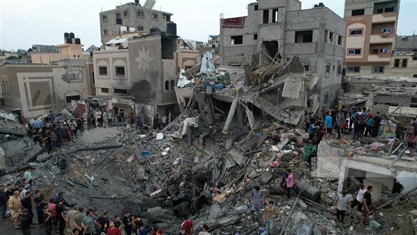 سنجر: مصر تلعب دور الشريك في حل القضية الفلسطينية ولا حل سوى