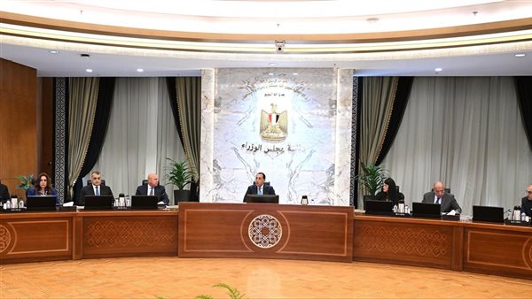 رئيس الوزراء يترأس اجتماع المجلس الأعلى للطاقة لبحث سبل تنفي