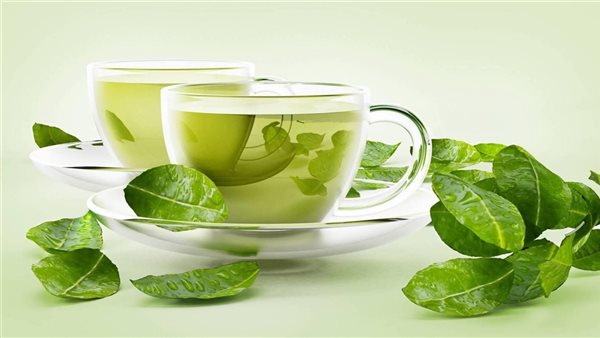 دراسة إسبانية حديثة تكشف دور النعناع الأخضر في علاج الزهايمر