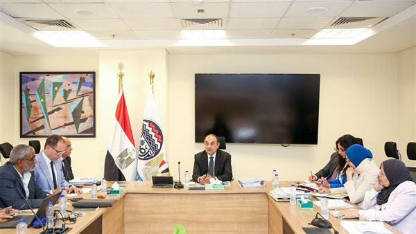اجتماع وزير قطاع الأعمال