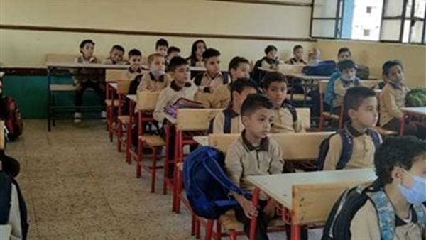 ما هي أقسام تربية تعليم ابتدائي 2025؟