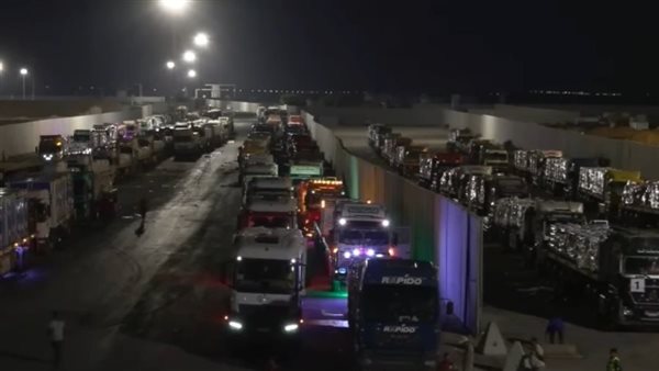 المساعدات الإنسانية المصرية 