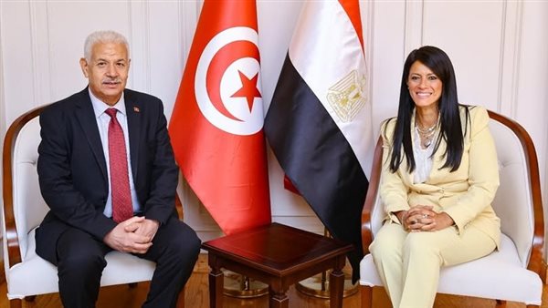 تعزيز العلاقات الاقتصادية المصرية التونسية، اللجنة العليا ال
