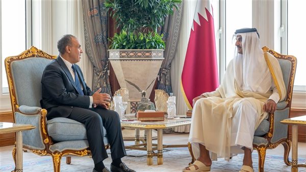 وزير الخارجية يلتقي أمير دولة قطر للتأكيد على تضامن مصر مع ق