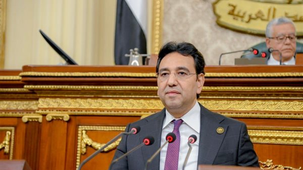 النائب أيمن محسب، عضو مجلس النواب  