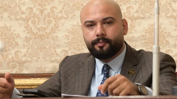  النائب إبراهيم الديب، عضو مجلس النواب