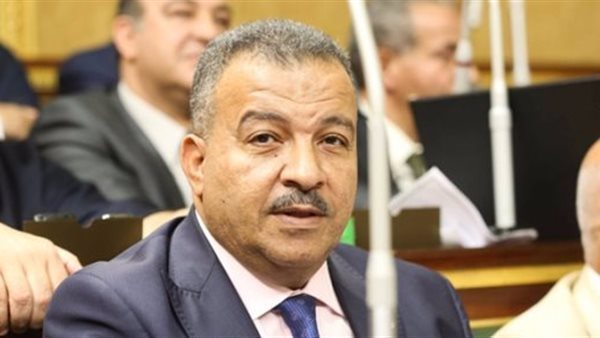النائب الدكتور محمد العماري وكيل لجنة الصحة بمجلس النواب