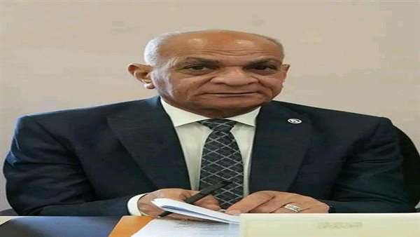 كمال حسنين، رئيس حزب الريادة