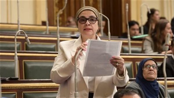  النائبة سميرة الجزار، عضو مجلس النواب 