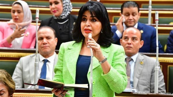 النائبة هند رشاد، أمين سر لجنة الإعلام والثقافة بمجلس النواب