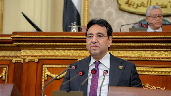 النائب أيمن محسب ، عضو مجلس النواب