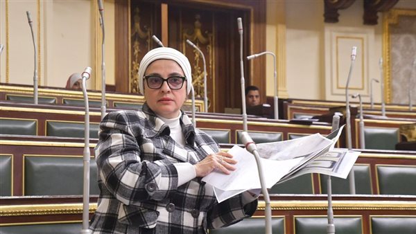  النائبة سميرة الجزار، عضو مجلس النواب