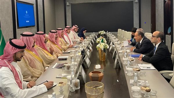 تعاون صناعي واستثماري بين مصر والسعودية