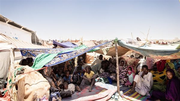 تفشي الكوليرا داخل السودان: 12200 حالة إصابة و509 وفيات