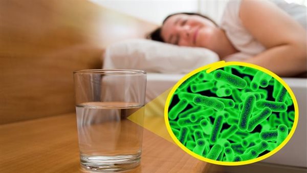 تعرف على أضرار ترك الماء مكشوفًا للشرب أثناء الليل