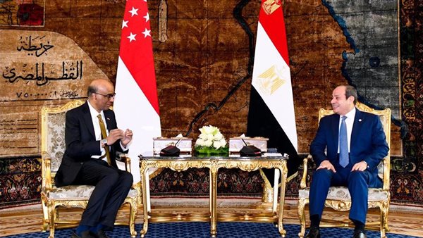العلاقات بين مصر وسنغافورة